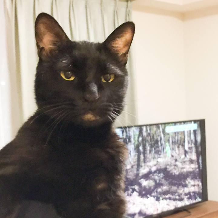 D47aa5fb a7b1 4c1c b11e 5570e25e8ef2 1546349621430