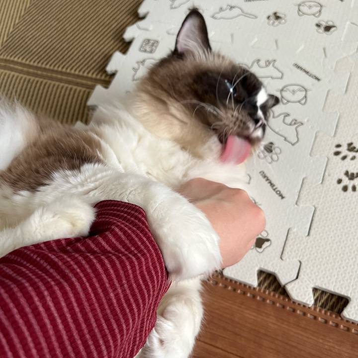 D47ae583 fcf4 4748 9fa3 9220a6158cdf 1704715391524