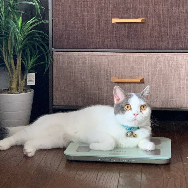 D47aee4c c587 4db7 a07a ba7ddddd1548 1635695175827