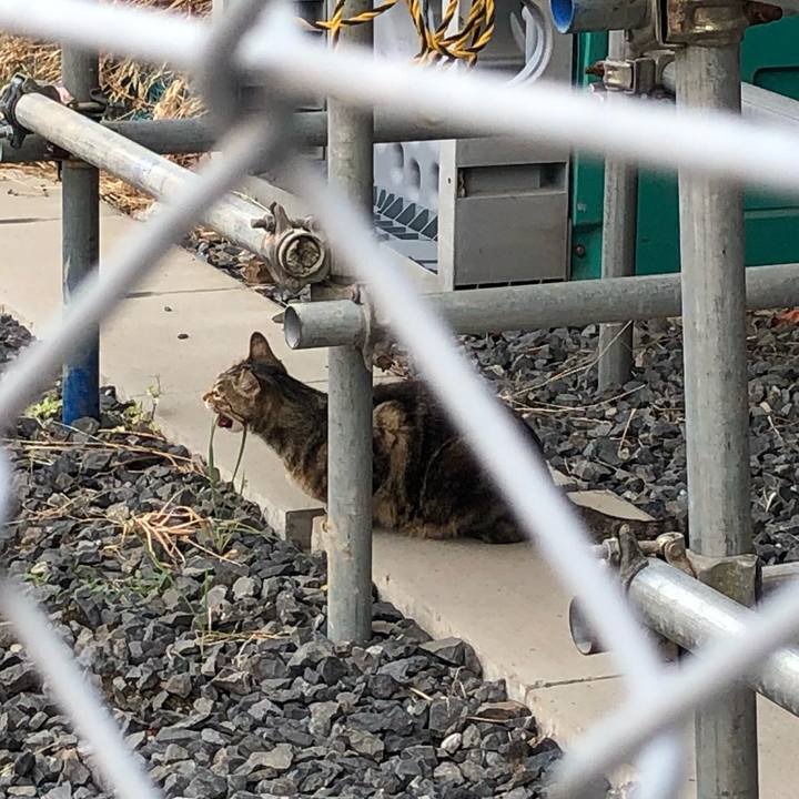 D47b5d8c c99c 4665 bb53 38db33c6637f 1559128327411