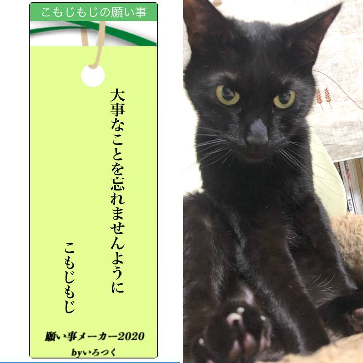 D47b6b48 5cdf 437f ae23 30d831d97f98 1594128198102