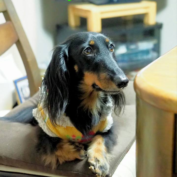 D47b6f6c 962d 43e7 a1ea 3a59fed3dbf8 1548216519255