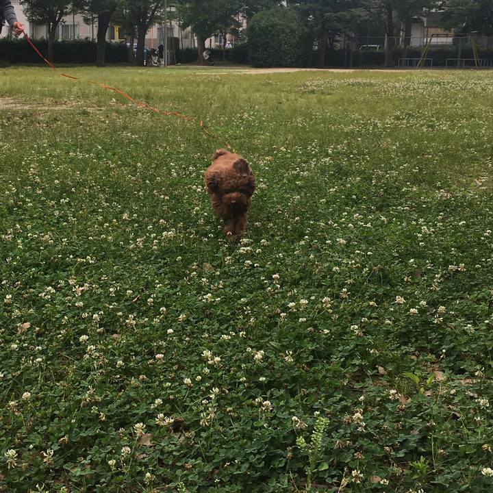 D47b9d25 a450 4072 8db4 d6fd07593603 1528615394284