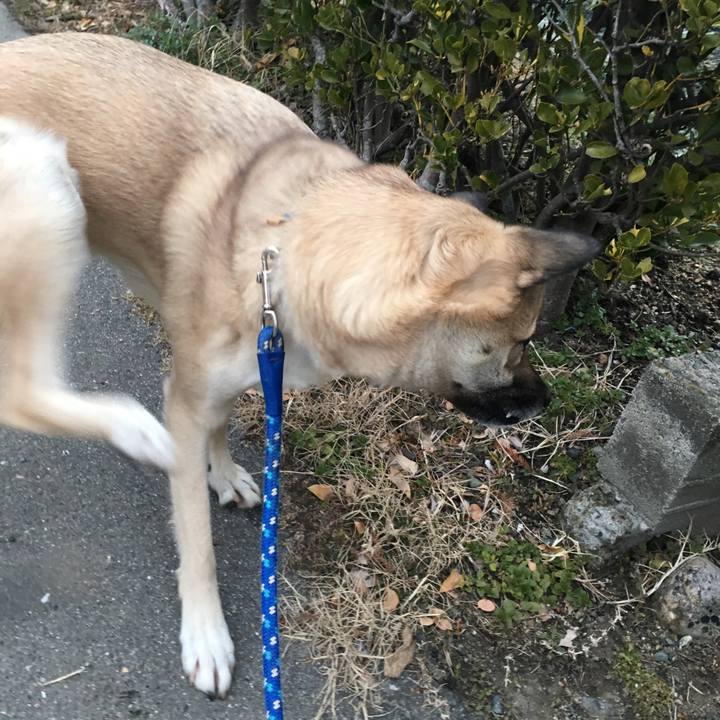 D47bb862 8c74 423c bd99 346b05c48e93 1517485963046