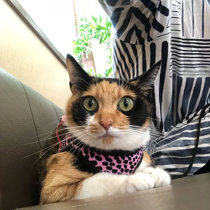 D47bdb60 91ac 4de0 b401 ecaa0fac2071 1536291703472