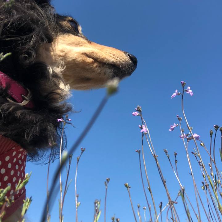 D47be5c1 45a6 40c2 b3b6 2f0171b45451 1555112820441