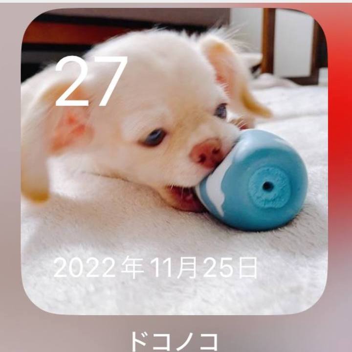 D47c0edf 5b94 4c5c ad93 8bb04655b8ef 1764333538289