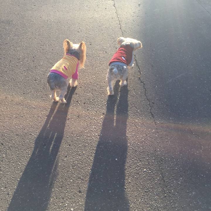 D47c14e8 7ad0 4a98 9331 b9caee275e43 1539989057522