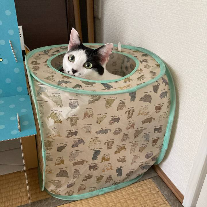 D47c205e 812c 48e0 9242 e8dceecffef4 1758148325039