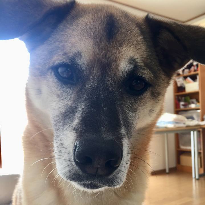 D47c28b9 ec53 49b7 b0d8 13f8ede6a1f8 1514002988930