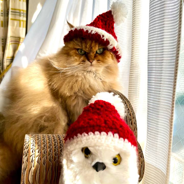 D47ce8e6 94fb 49ff 8be2 f2ee985c4ac9 1703416214611