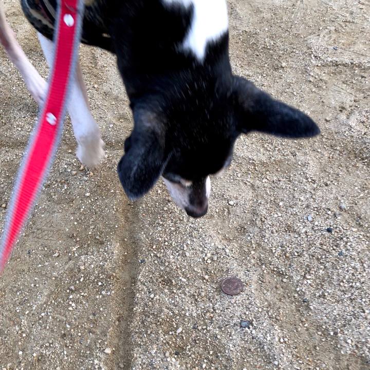 D47d4f8b ec59 4f31 b111 83388a1adb56 1553504389953