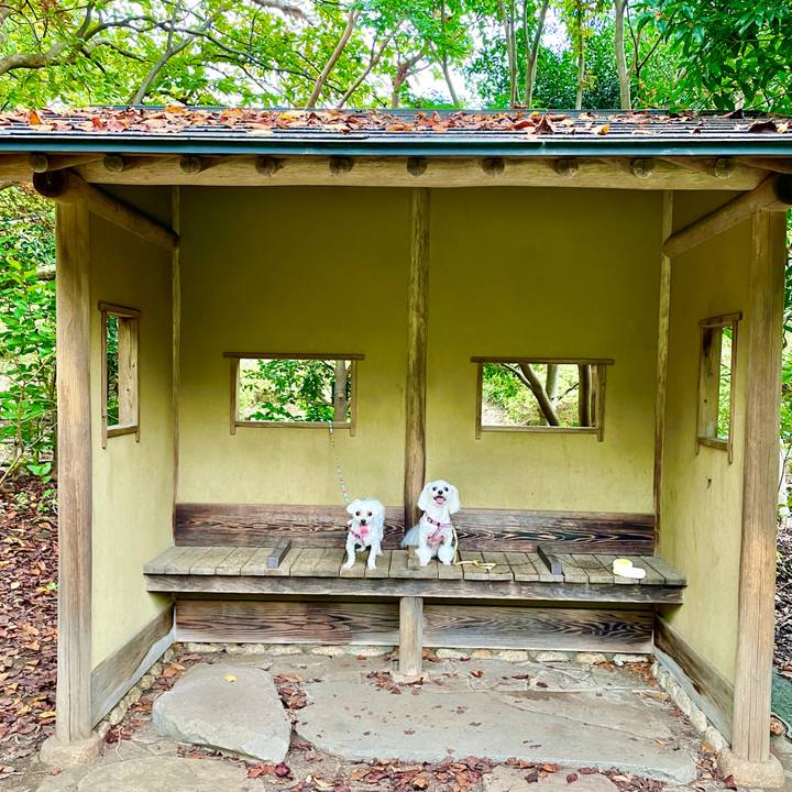 D47d7aa7 1517 4105 8b01 f153fef7ba00 1633504753643