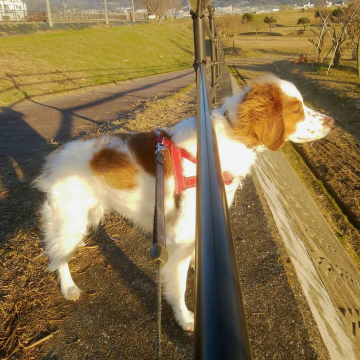 D47ddba5 646b 4b64 9562 b25b7ecd8a7d 1547907318400