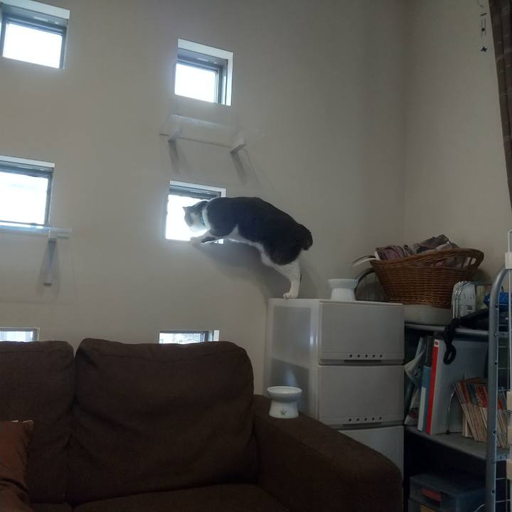 D47df3be 3c45 4f10 87ff dba00eae7d0f 1643761558834