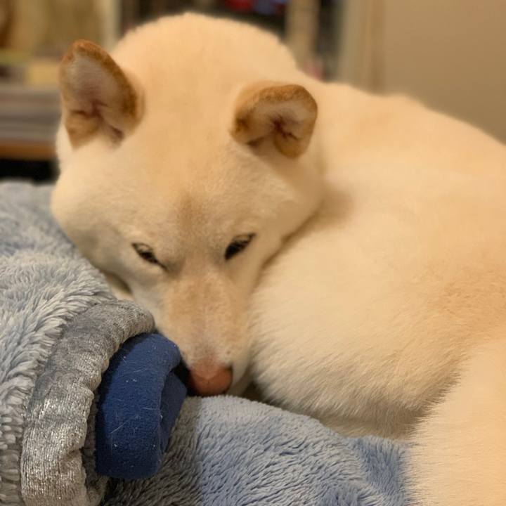 D47df74d 8b9f 4557 a7de 301b6bf1ebdf 1554124361595