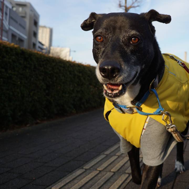 D47dffb9 eb6f 4e8e 84da 8675edd777b7 1767143047356