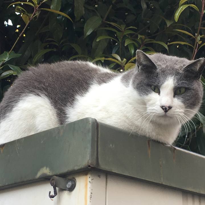 D47e0715 bfb0 49d4 9a7e ed98a03005b2 1555237140662