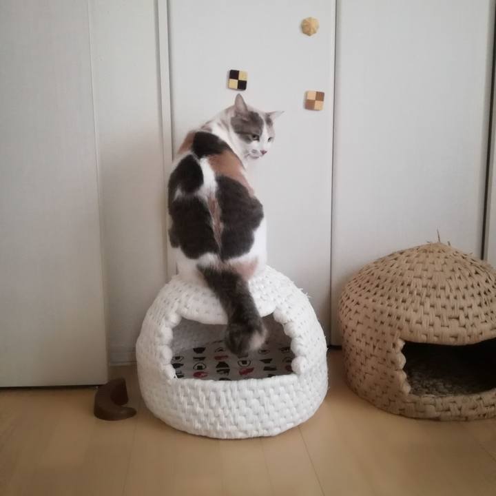 D47e08af 1fc2 43da b95b 844bbce9851d 1539569676359