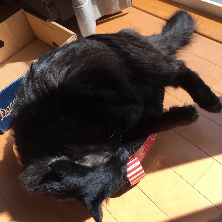 D47e33a3 7d26 4100 97bb c82069c60c91 1557732811415