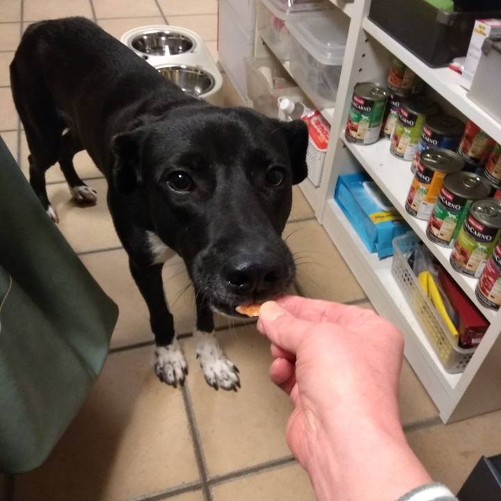 D47e953d adde 4590 901f d6e21dafad85 1582896740510