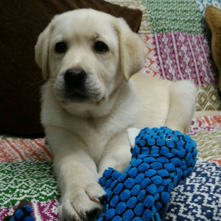 D47ee270 f196 4d1b 9bd5 6681e06e7268 1518236371149