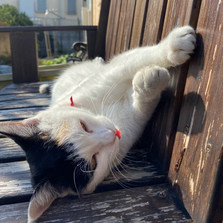 D47ee2e1 df3d 4ced befe 9010b83af59f 1639568658714