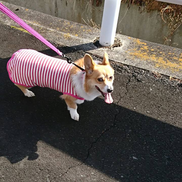 D47ef4ed fdd2 475d 8732 e8b29600deff 1550623974785