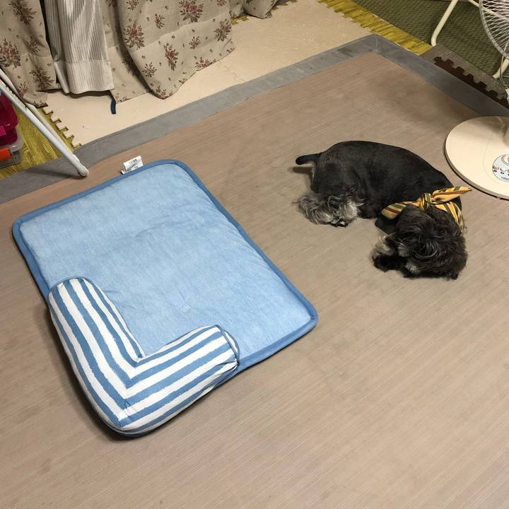 D47f0fe6 b7ac 4027 9ec6 e7629cb134b1 1656856001759