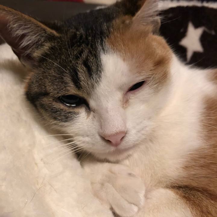 D47f2529 3cf4 486a 81f8 39eef80cae48 1586691340619