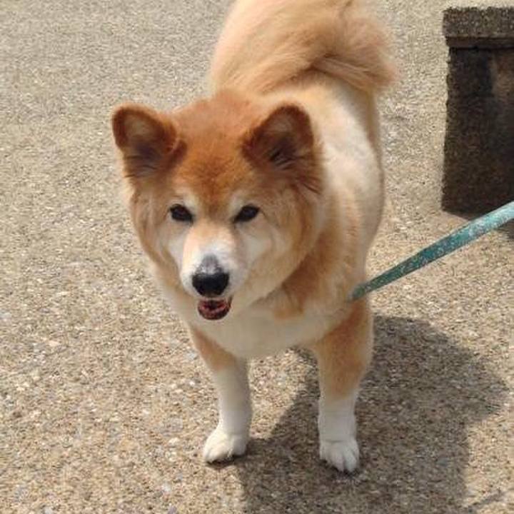 D47f275d 77cf 4a59 be2b 998161101a44 1508643691966