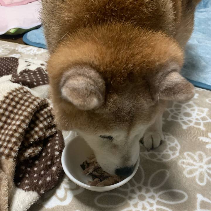 D47f2d43 7b54 41b5 8844 af6fc57a3b9e 1669286725563