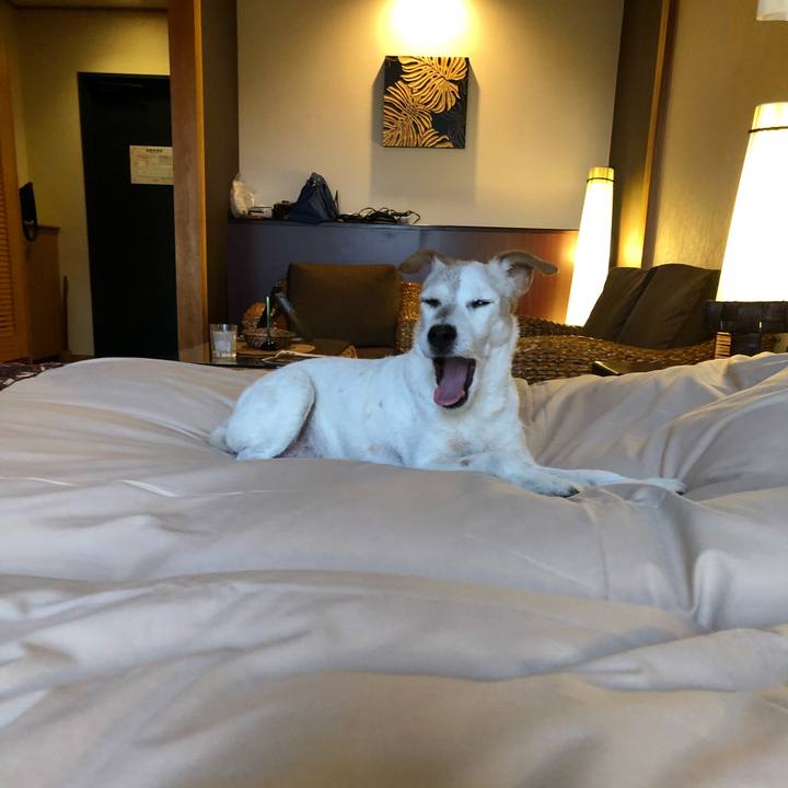 D47f2d89 b314 4f55 8c16 f579952cdbdb 1525250998848