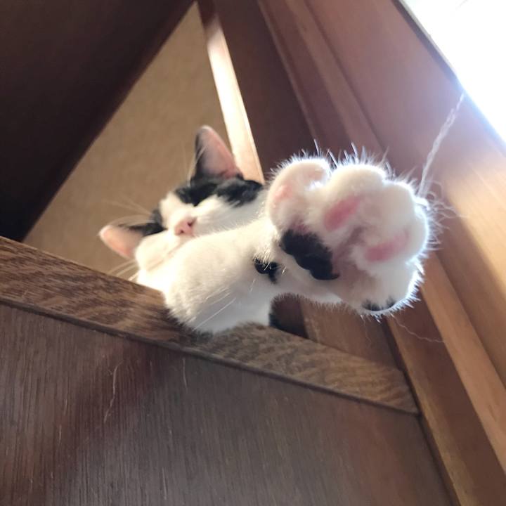 D47f30ba 3fc3 41f8 bc93 d1536bd64e38 1537062133369