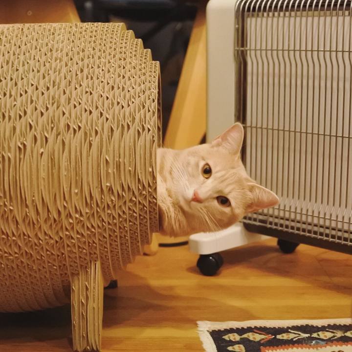 D47fcfe9 e5a4 4921 878a 87b292967aa4 1582817357390