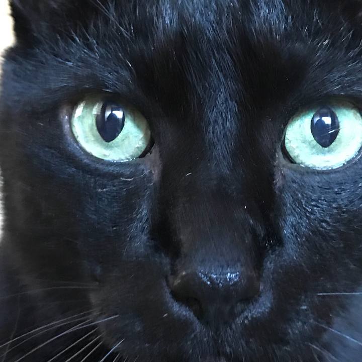 D47fe6bf c7c9 4b13 85ce 028eec2cacc9 1523668498008