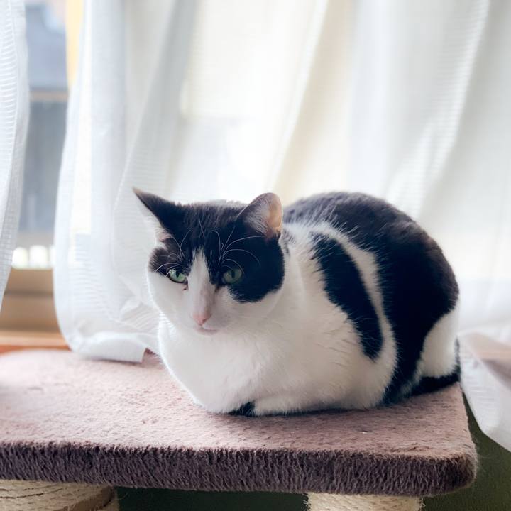 D47fec07 aeda 4a93 afcf d86242d3612d 1591753533763