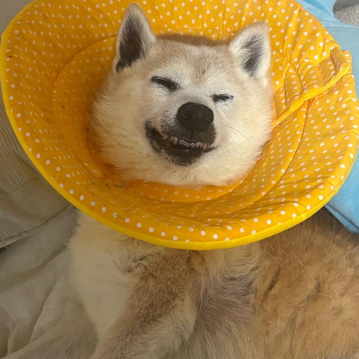 D4802e54 1326 49bd a5c0 6d385af47e68 1771241720077