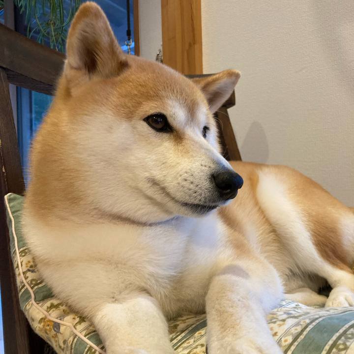 D480453d 4457 4edf a75b 0d649de53764 1741946291199