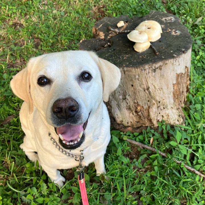 D48050b2 4baa 45cf 87e4 72c87ddbfa2f 1691716881796