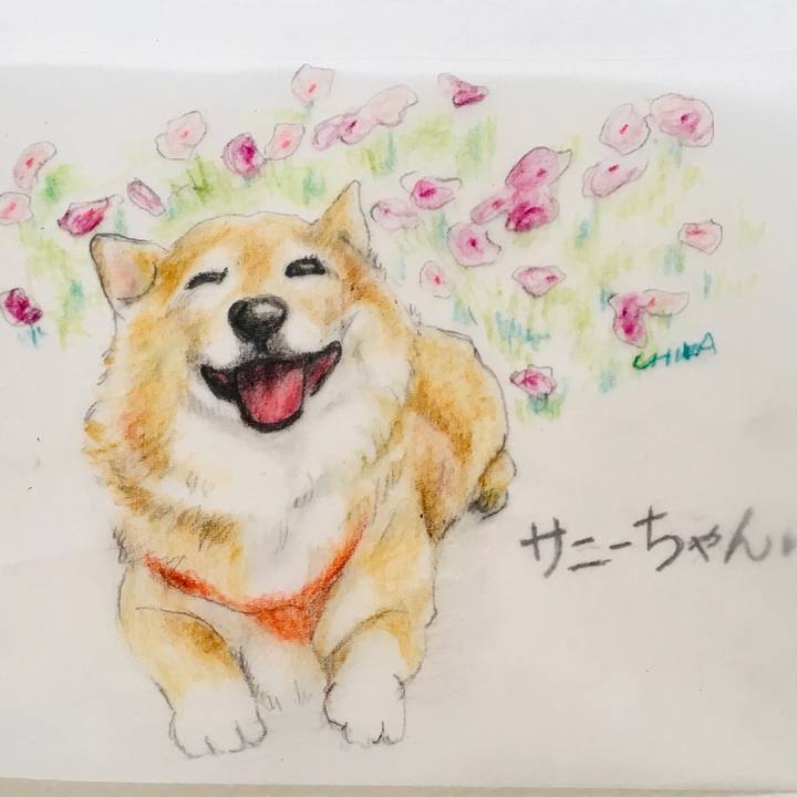 D480512f 73f7 4cd5 8e38 5e229c1cc1a0 1568337272304