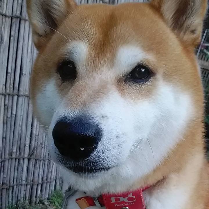 D4806ce4 3a4c 4a45 8d90 5f826b96360d 1600849047685