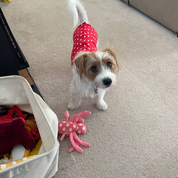 D48093e8 486b 4e54 8d8d 7ded58427a66 1758499552511