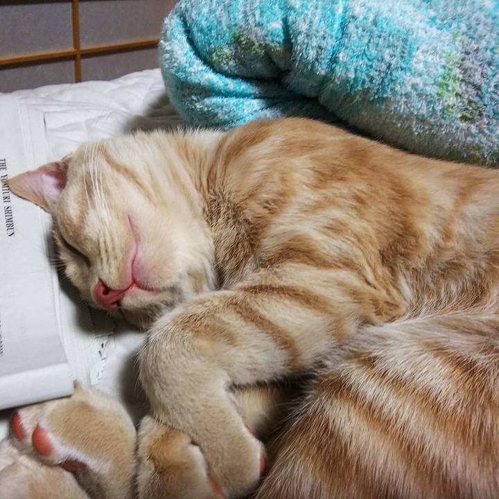 D48095b9 4846 4750 bb4d 3ad1143d5e60 1545464152490