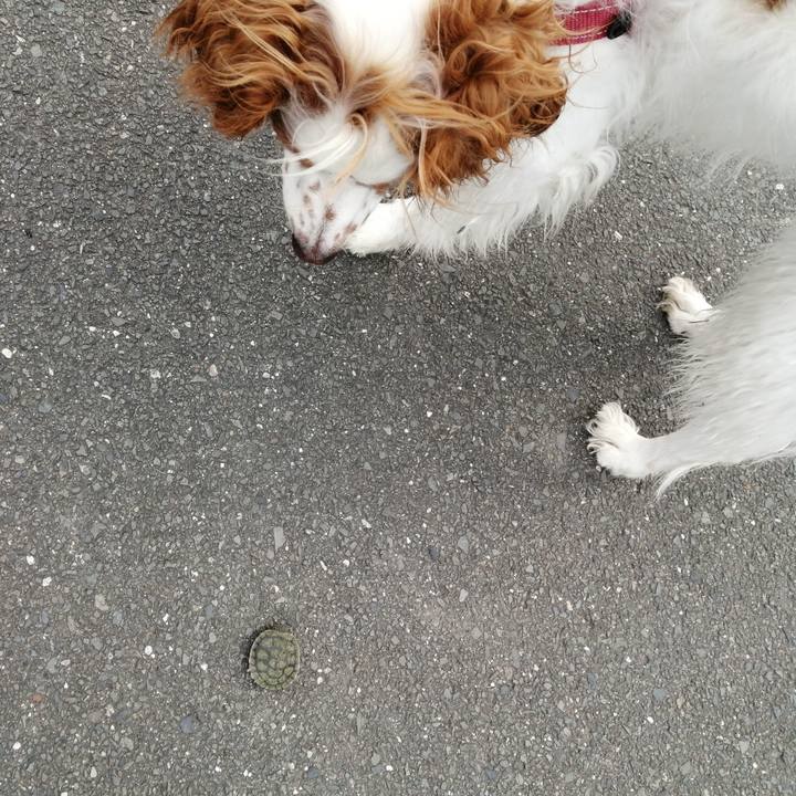 D480ba8a 95f4 4538 8b3e 6010cf070054 1592180174796