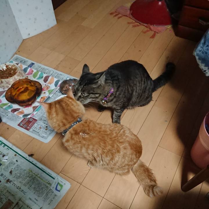 D480e116 9f9a 468d 824e 8d0a3e76d368 1653894818566