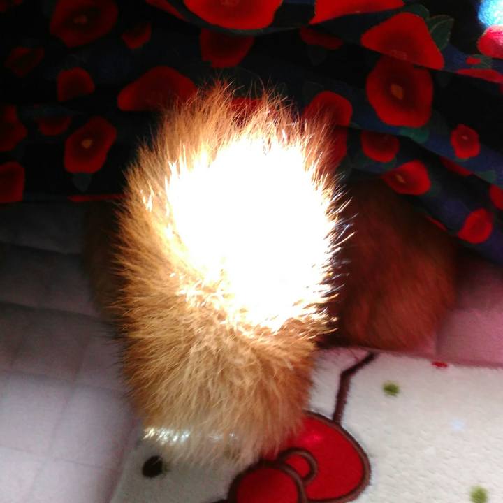 D481396a 2fb8 4990 a083 f4b1bf1cb9ab 1518421550398