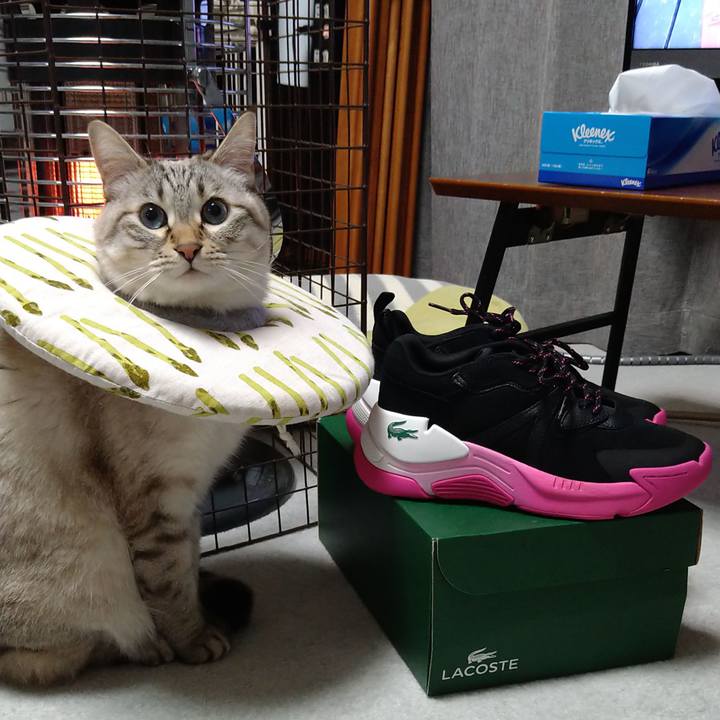 D4814033 ff3a 4524 a1b7 d959ecbfa053 1673186203597