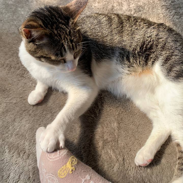 D481486b c8d6 45f4 854e 12b256dafcc9 1552619817257