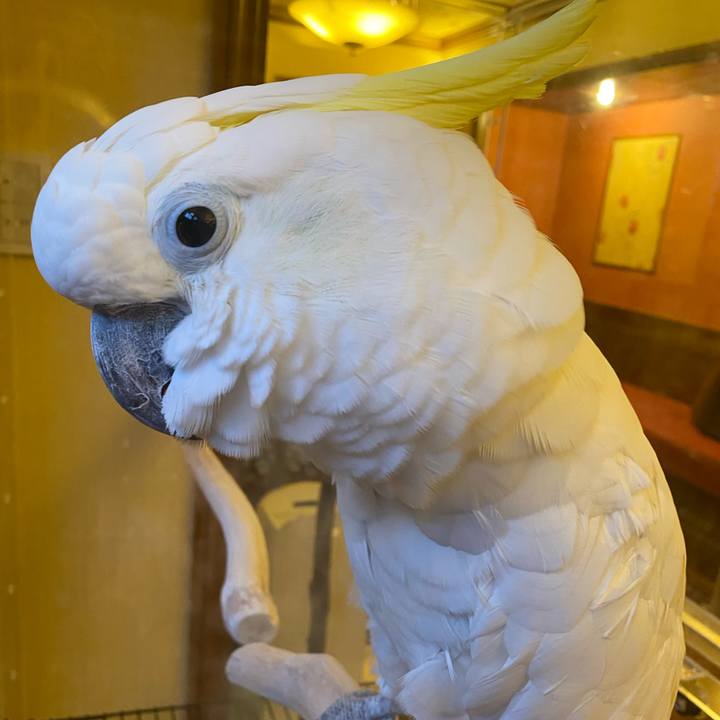 D4815fe7 cbe3 46a2 bcc8 e51e7d7f3b81 1585990438831